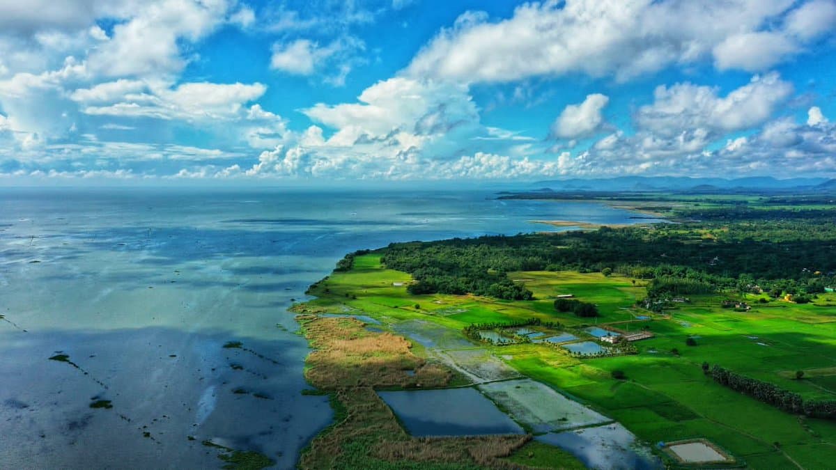 Chilika Lake Boating — Satapada Odisha